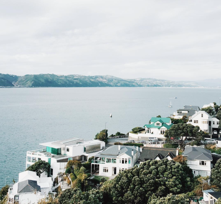 Travel and Design: Explore Wellington with Edelweissl