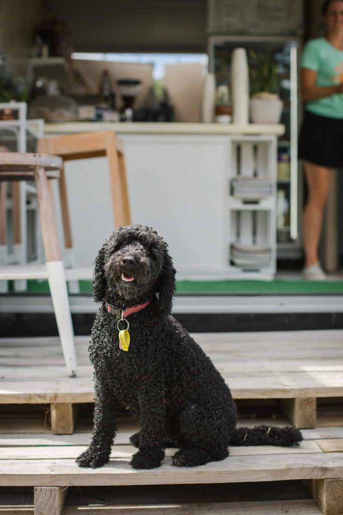 About Thyme, About Thyme coffee shop, Interiors, interior design, design, nz design, design blog, beachside, NZ beach, Manawatu, This is Manawatu, My Manawatu, Coffee shop, Cafe, Beach cafe, eco cafe, whitewashed, 